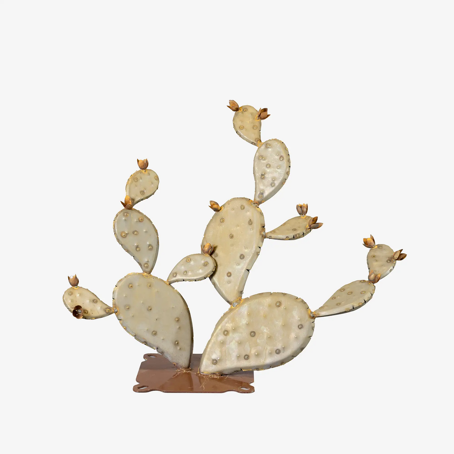 Prickly Pear Cactus