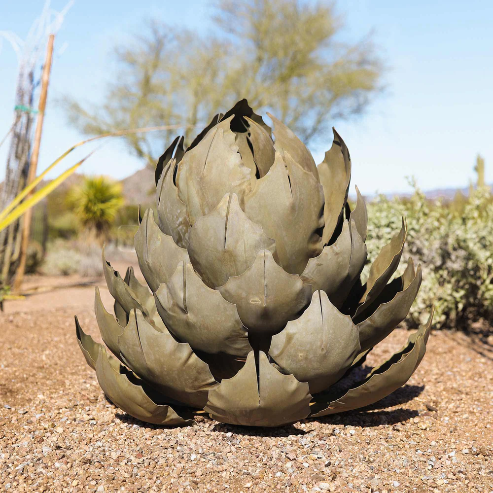 Artichoke Agave