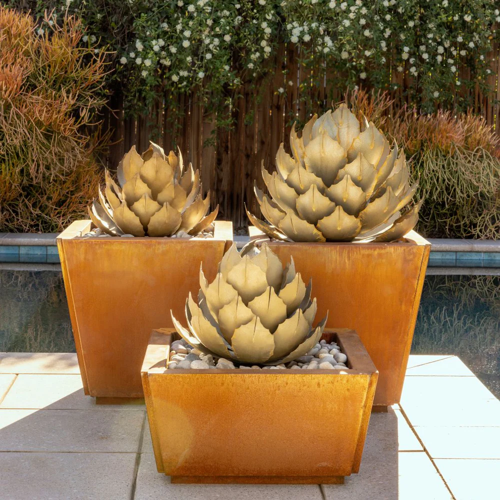 Artichoke Agave