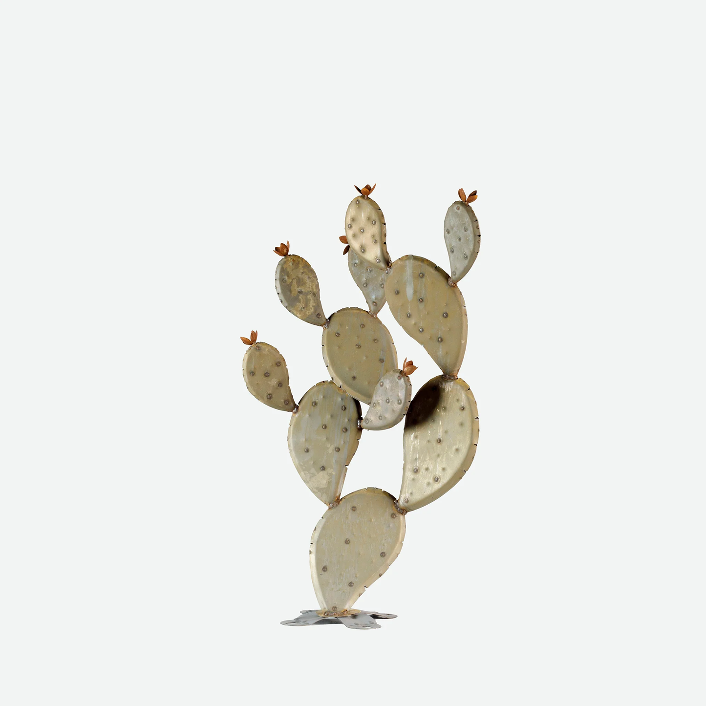 Prickly Pear Cactus
